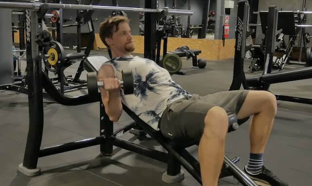 Dumbbell Incline Curl