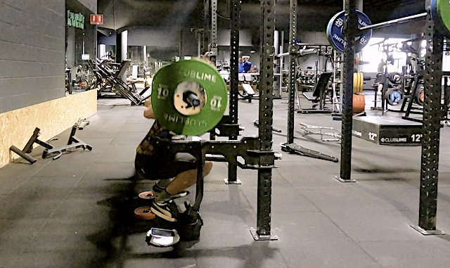 Barbell Squat, High Bar